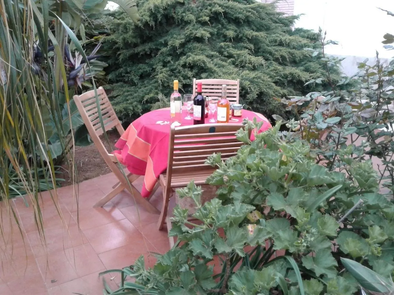 La Mimosa Case Vacanze 马尔萨拉