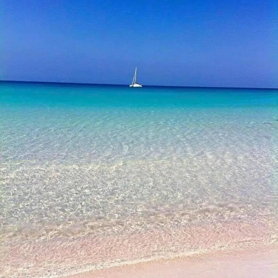 La Mimosa Case Vacanze Marsala Italie