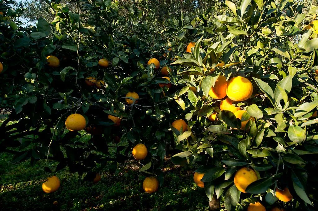 Séjour à la ferme La Mimosa Case Vacanze Marsala Italie