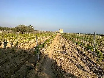 La Mimosa Case Vacanze Marsala 0*,  Italie
