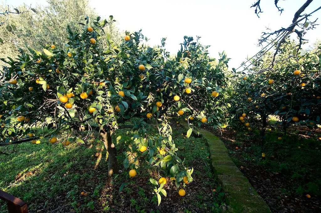 La Mimosa Case Vacanze Marsala